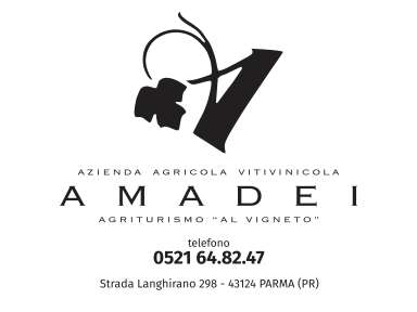 LOGO-amadei-franco-c-snc-di-amadei-f-bertozzi-i