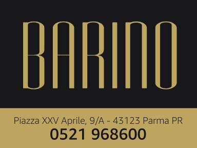 LOGO-barinoz