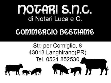 LOGO-notari-s-n-c-di-notari-luca-e-c