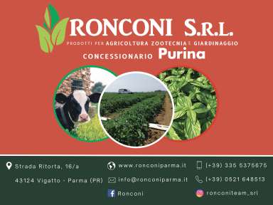 LOGO-ronconi-s-r-l-societ-unipersonale