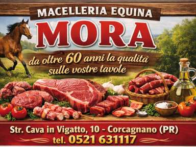 MORA MACELLERIA EQUINA