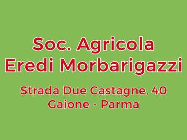 MORBARIGAZZI